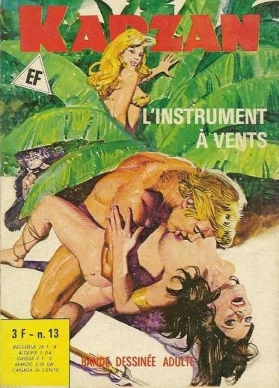 Cover of L'instrument à Vents