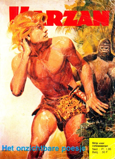 Cover of Het onzichtbare poesje