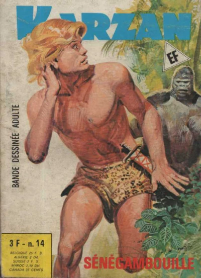 Cover of Sénégambouille