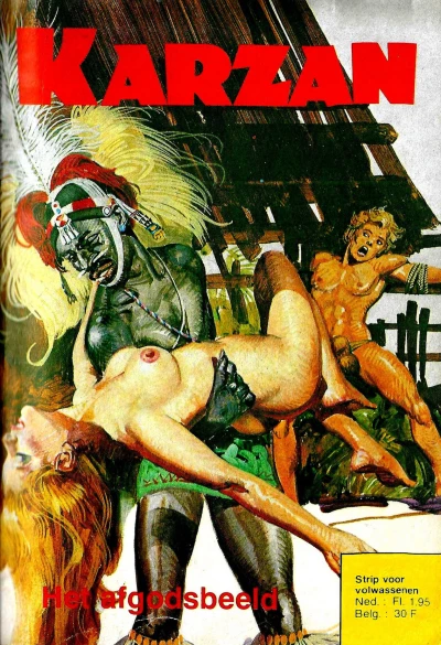 Cover of Het afgodsbeeld