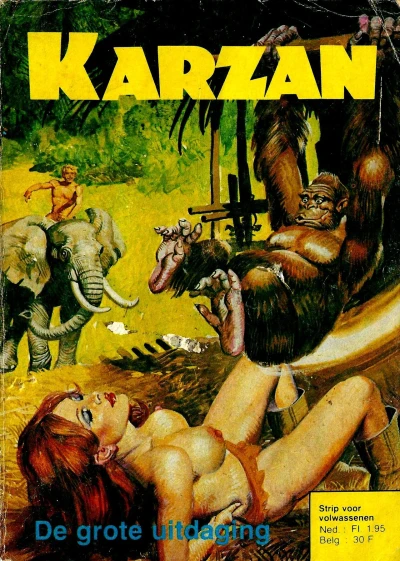 Cover of De grote uitdaging