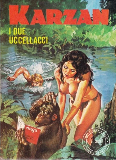 Cover of I Due Uccellacci