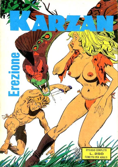 Cover of Erezione