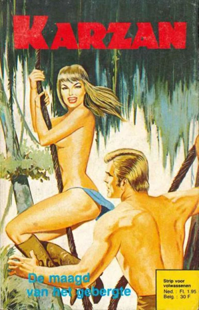 Cover of De maagd van het gebergte