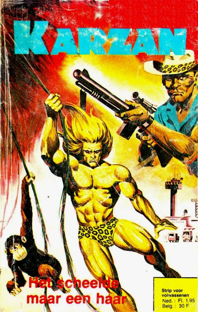 Cover of Het scheelde maar een haar