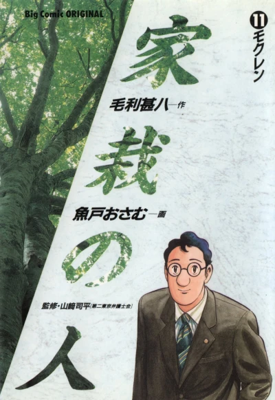 Cover of Vol. 11