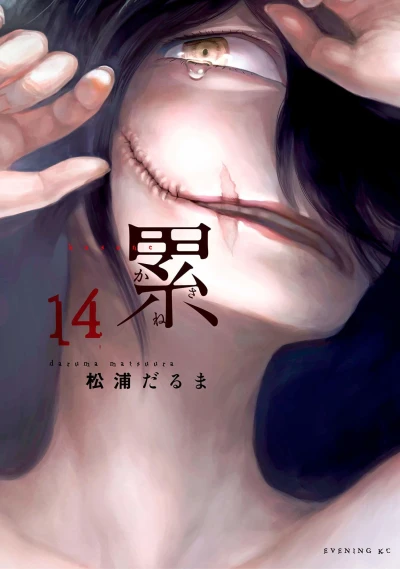 Cover of Vol. 14