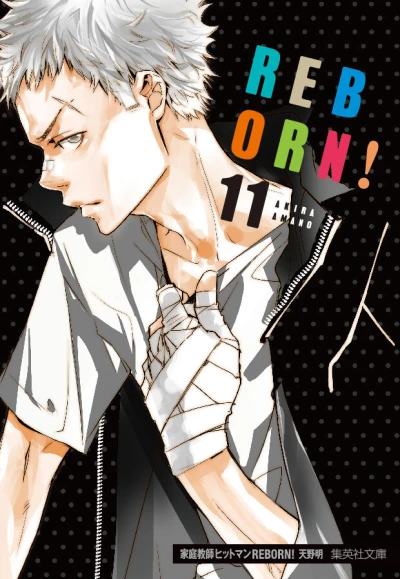 Cover of Vol. 11