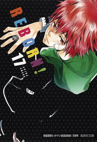 Cover of Vol. 17