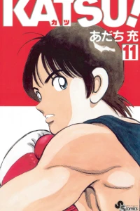 Vol. 11