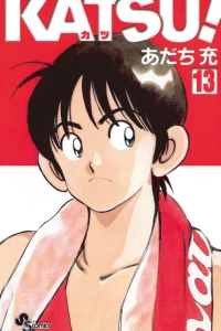 Vol. 13