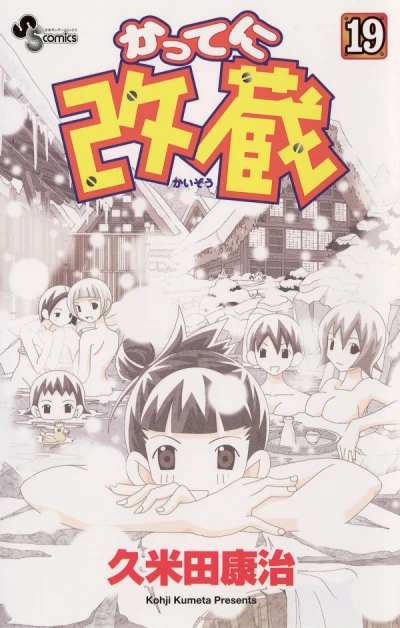 Cover of Vol. 19