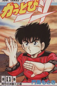 Vol. 11