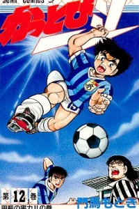 Vol. 12