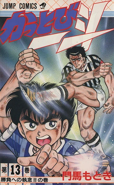 Cover of Vol. 13