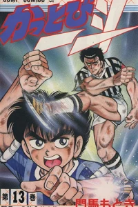 Vol. 13