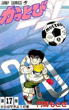 Cover of Vol. 17