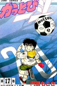 Vol. 17