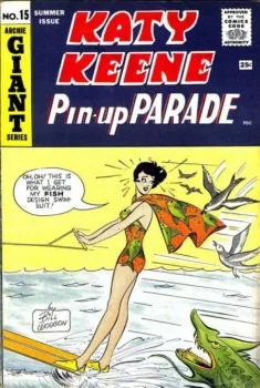 Cover of Issue #15