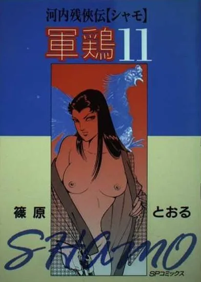 Cover of Issue #11