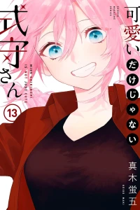 Vol. 13