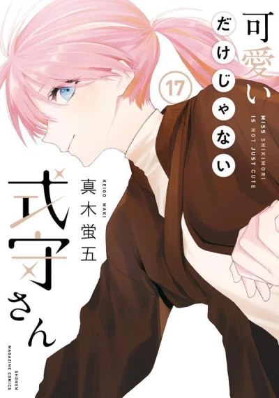 Cover of Vol. 17