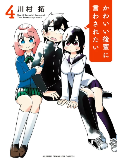 Cover of Vol. 4