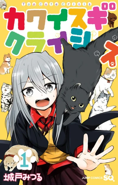Cover of Volume 1