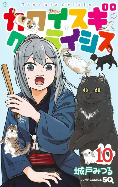 Cover of Volume 10
