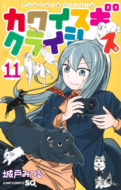 Cover of Volume 11