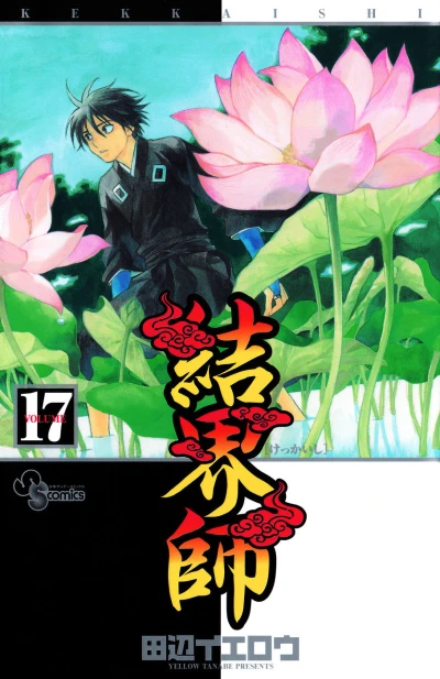 Cover of Vol. 17