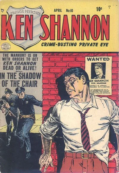 Cover of In the Shadow of the Chair