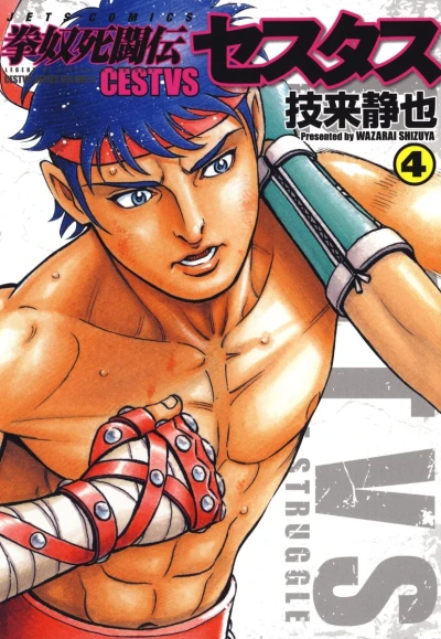 Cover of Vol. 4