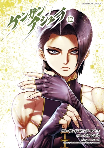 Cover of Vol. 12