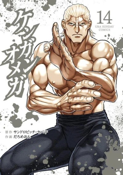 Cover of Vol. 14