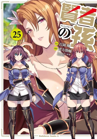Cover of Vol. 25