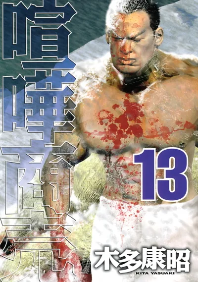 Cover of Vol. 13