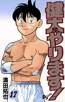 Cover of Vol. 17