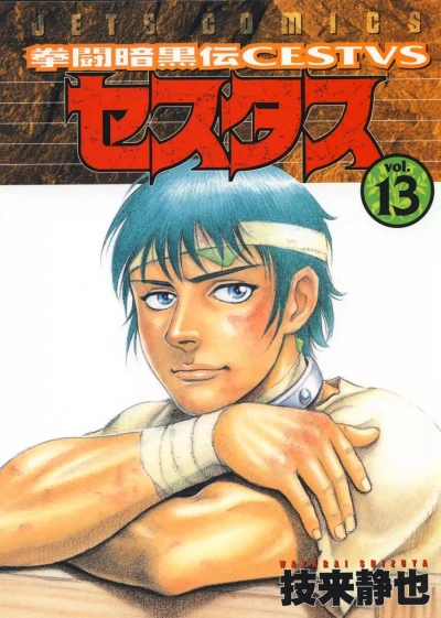 Cover of Vol. 13