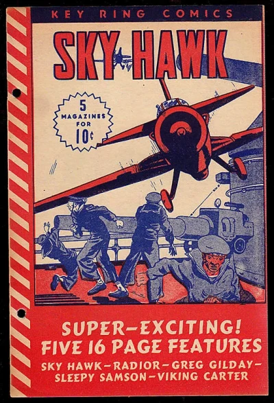Cover of Sky Hawk