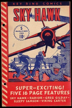 Sky Hawk