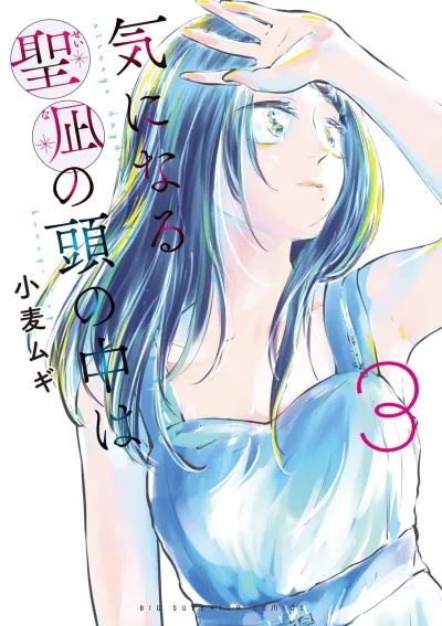 Cover of Vol. 3