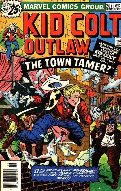 Cover of The Town Tamer?