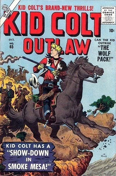 Cover of The Raiders