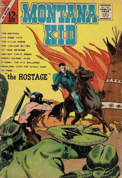 Cover of The Hostage