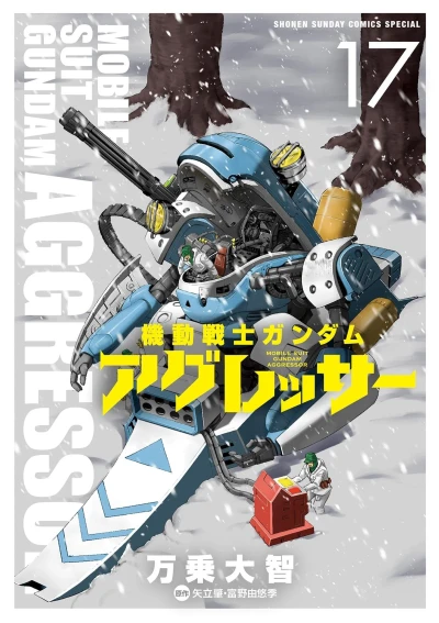 Cover of Vol. 17