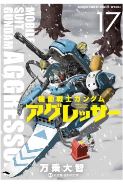 Vol. 17