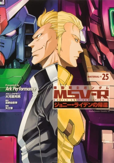 Cover of Material-Y 25