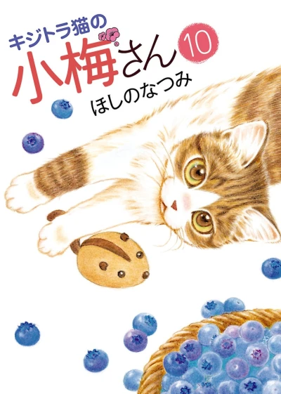 Cover of Vol. 10