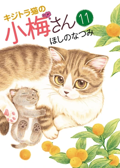 Cover of Vol. 11